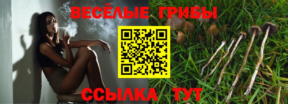 Псилоцибиновые грибы Magic Shrooms  Вход с VPN  Галлюциногенные грибы прущие грибы  Саранск 